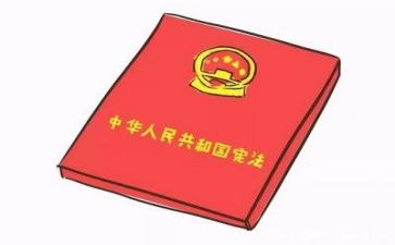 学宪法讲宪法活动总结8篇