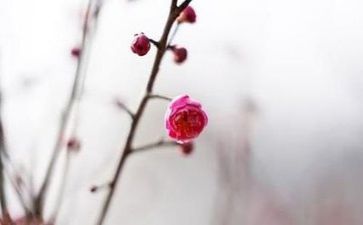 乡村工作总结6篇