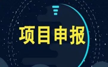 项目内工作总结7篇