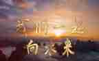 北京冬奥一起向未来作文5篇