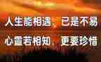 感恩相遇作文7篇