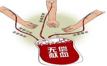 2023献血屋工作计划7篇