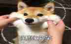 用微笑面对生活作文600字8篇