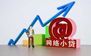 小额贷款工作总结6篇