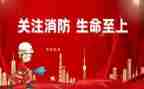 小学生消防演练心得体会7篇
