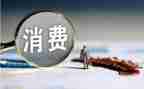 消费微调查报告6篇