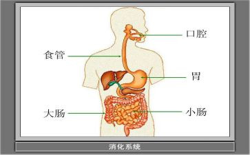 消化内科工作计划7篇