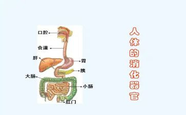 护士消化内科自我鉴定7篇