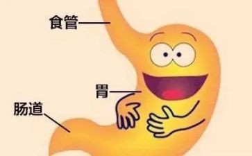消化内科的心得体会5篇