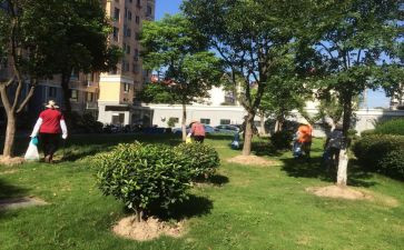 小区物业月计划推荐8篇