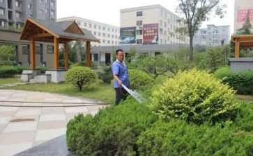 小区物业工作总结5篇