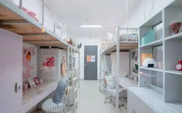 学校宿舍工作总结7篇