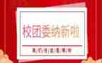 学校团委周工作总结5篇