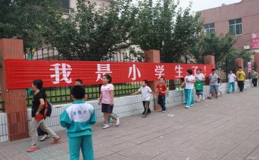 小学教务述职报告范文5篇