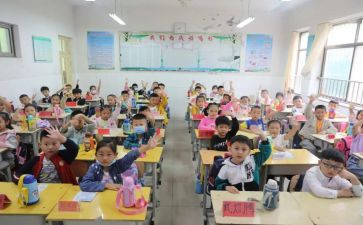 小学老师的个人总结参考5篇