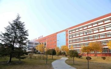 校园安全心得体会500字7篇