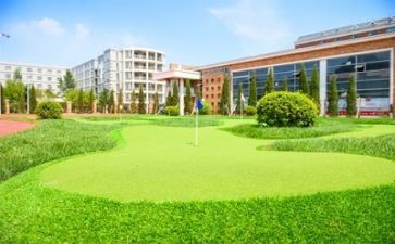 关于校园的调查报告8篇