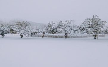 中班下雪天安全教案5篇