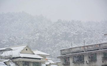 下雪的安全教案精选6篇