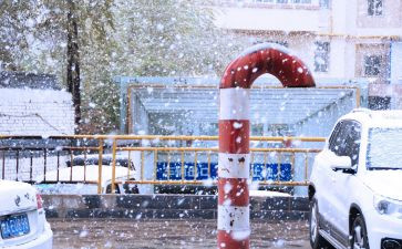 下雪的安全教案5篇