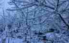 下雪优秀作文模板8篇
