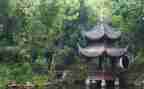 写物的作文400字优秀作文6篇