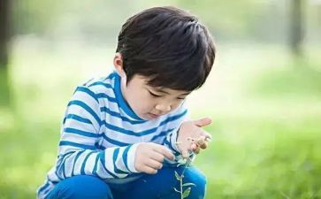 小学书法兴趣小组活动总结6篇