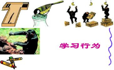 违规行为心得体会7篇