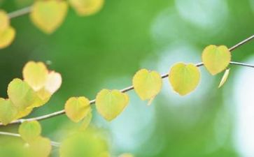 教师心理培训心得7篇