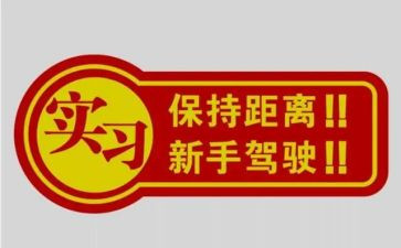 新手工作总结8篇