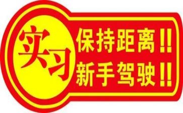 新手去工作总结8篇