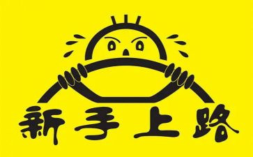 新手工作总结5篇
