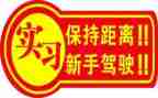 新手去工作总结8篇
