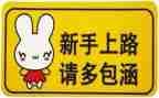 新手干工作总结6篇