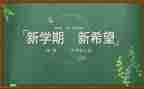 新学期教师个人工作计划5篇