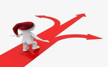 我重要的选择作文8篇