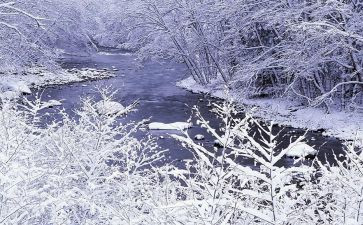 铁路除雪心得体会8篇