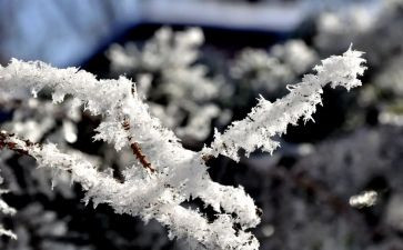 中班雪房子教案7篇