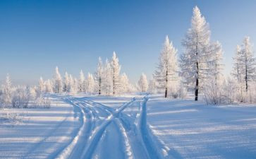 关于除雪活动方案通用8篇