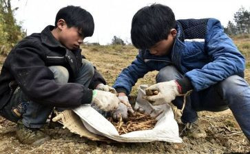 辍学生入党申请书参考5篇