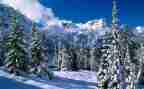 关于除雪活动方案最新7篇