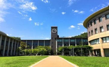 大学部门的述职报告5篇