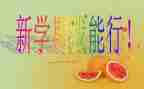中班工作计划下学期5篇