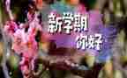 大班下学期工作计划下学期2023精选7篇