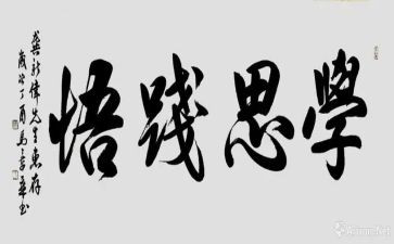 学思践悟验心得体会5篇