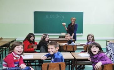 学习需求调查报告7篇