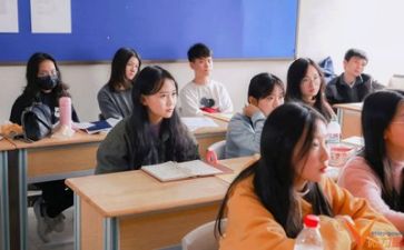 公司的学习心得体会推荐5篇