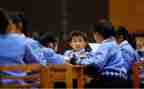 对学习调查报告7篇