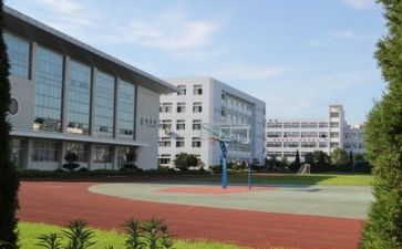 学校成财务工作总结通用6篇