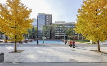 学校校长工作总结2022总结6篇